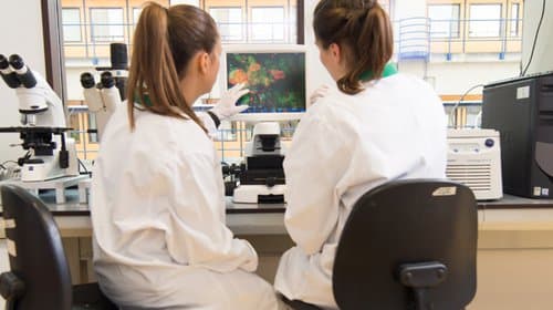 Belastingvrij schenken