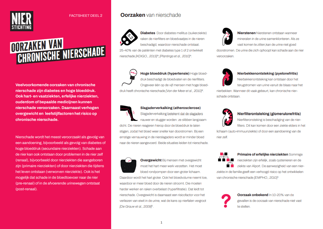 Factsheet Oorzaken van chronische nierschade