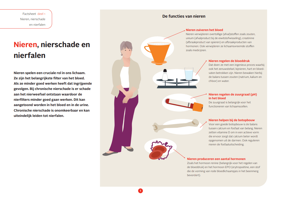 Factsheet_Nieren_nierschade_en_nierfalen